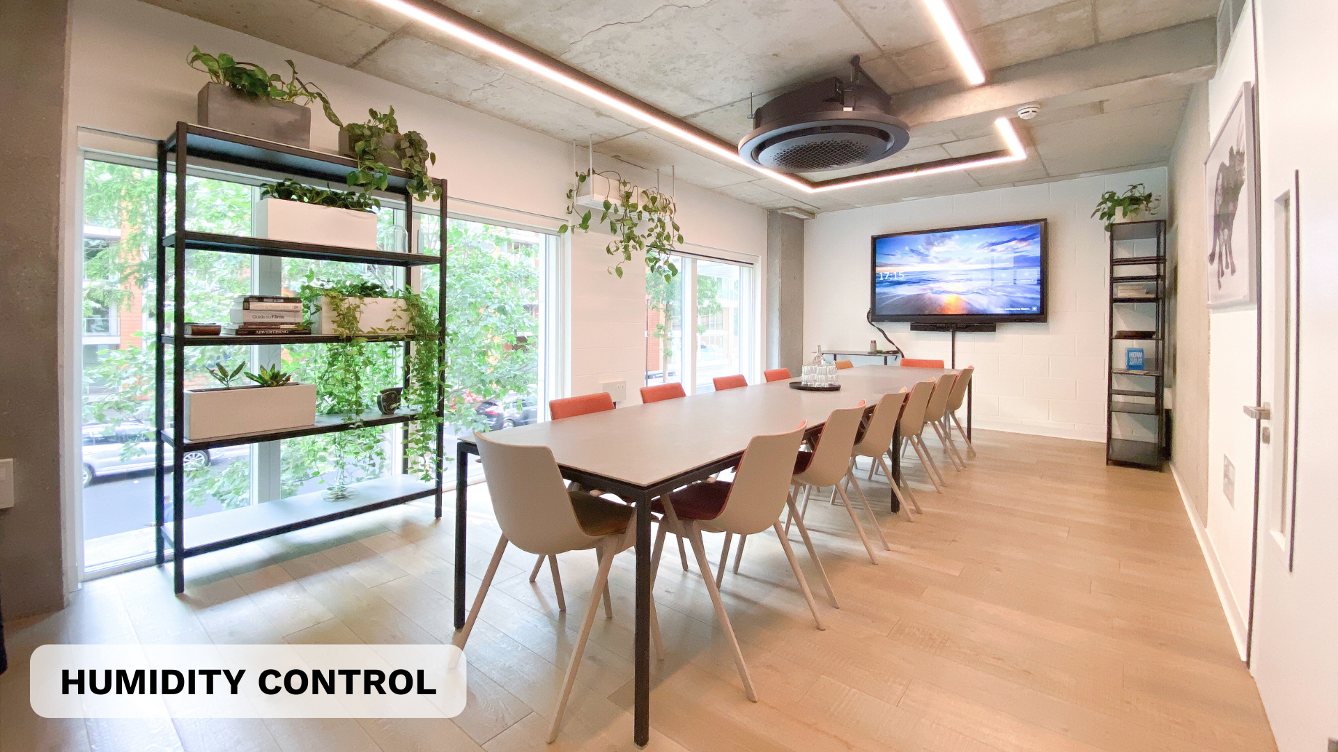 Biophilic meeting room with natural light in Paddington London